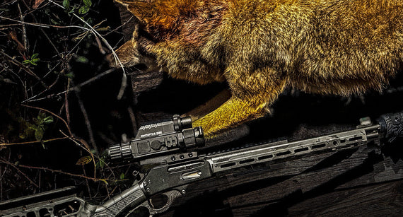 Beginner's Guide to Coyote Hunting: Essential Gear and Proven Tips