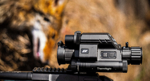 Coyote Hunting Q&A: Expert Tips on Calls, Calibers & Night Hunting