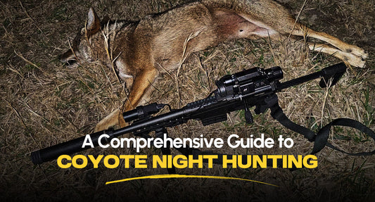 A Comprehensive Guide to Coyote Night Hunting