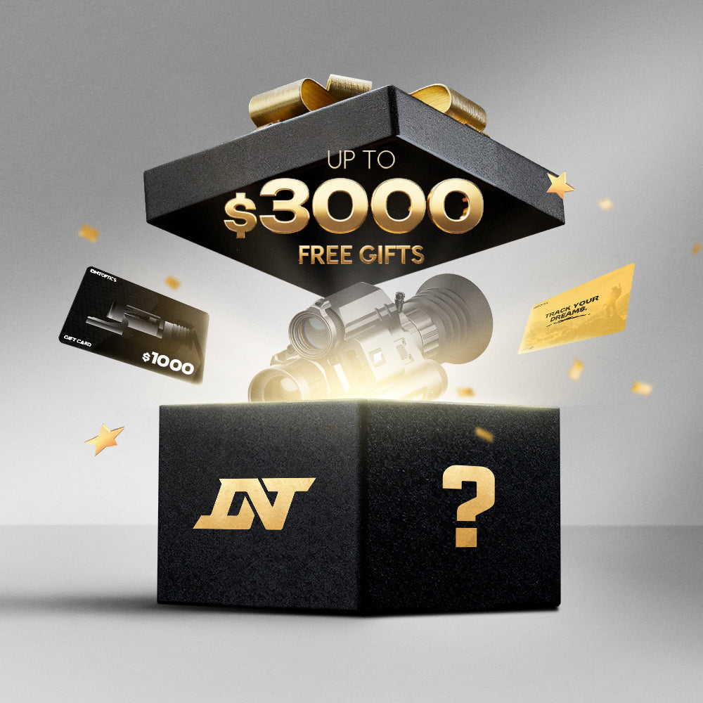 DNT Black Friday Mystery Box